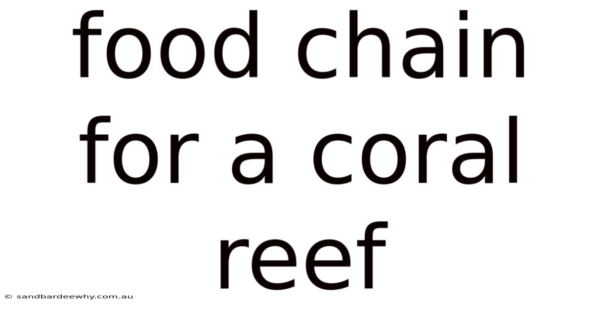 Food Chain For A Coral Reef