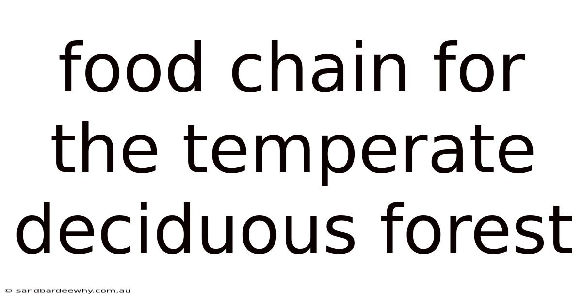 Food Chain For The Temperate Deciduous Forest