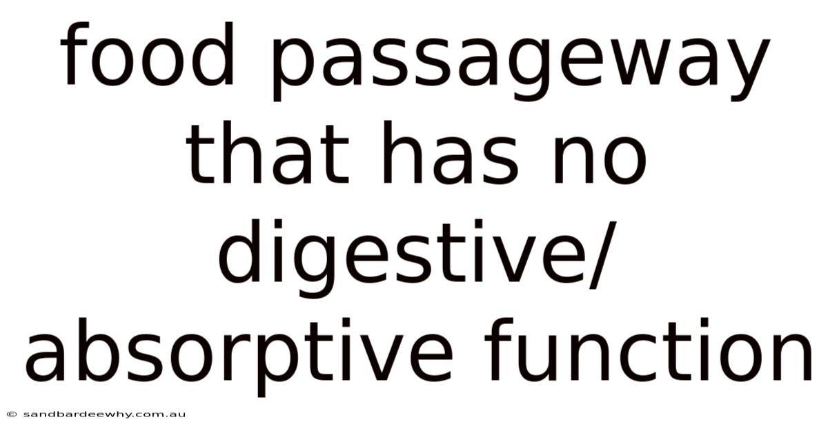 Food Passageway That Has No Digestive/absorptive Function