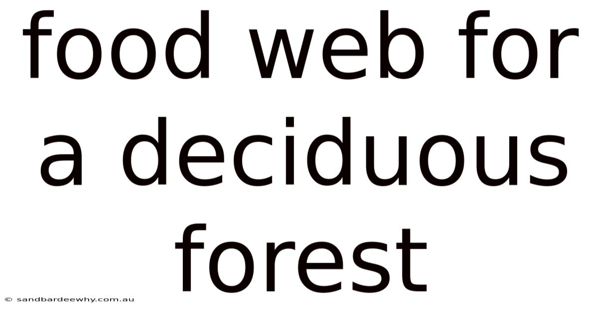 Food Web For A Deciduous Forest