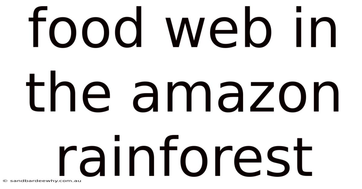 Food Web In The Amazon Rainforest