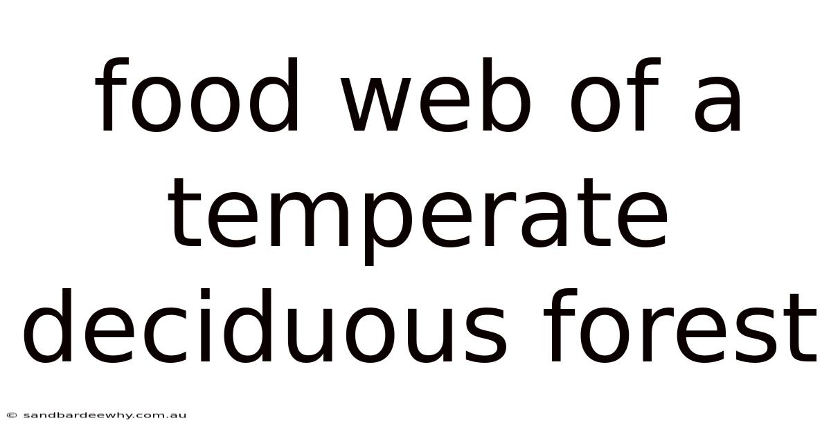 Food Web Of A Temperate Deciduous Forest