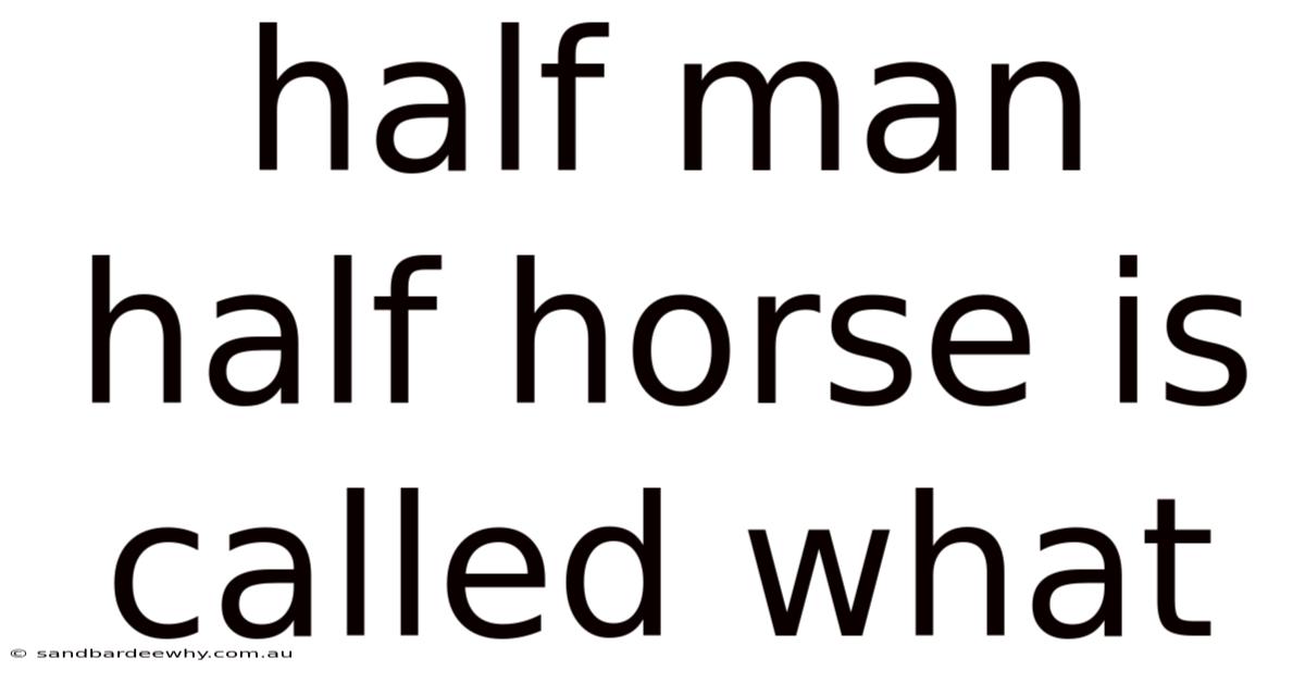 Half Man Half Horse Is Called What