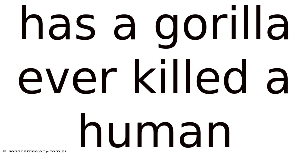 Has A Gorilla Ever Killed A Human