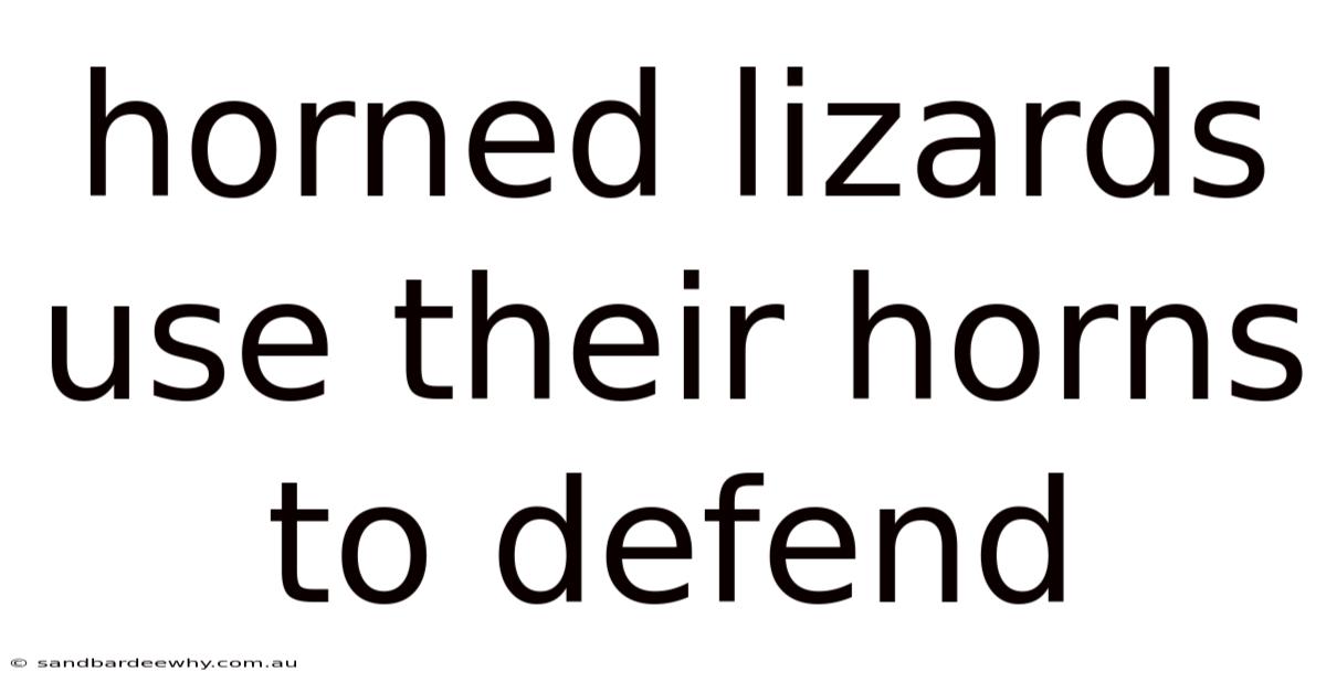 Horned Lizards Use Their Horns To Defend