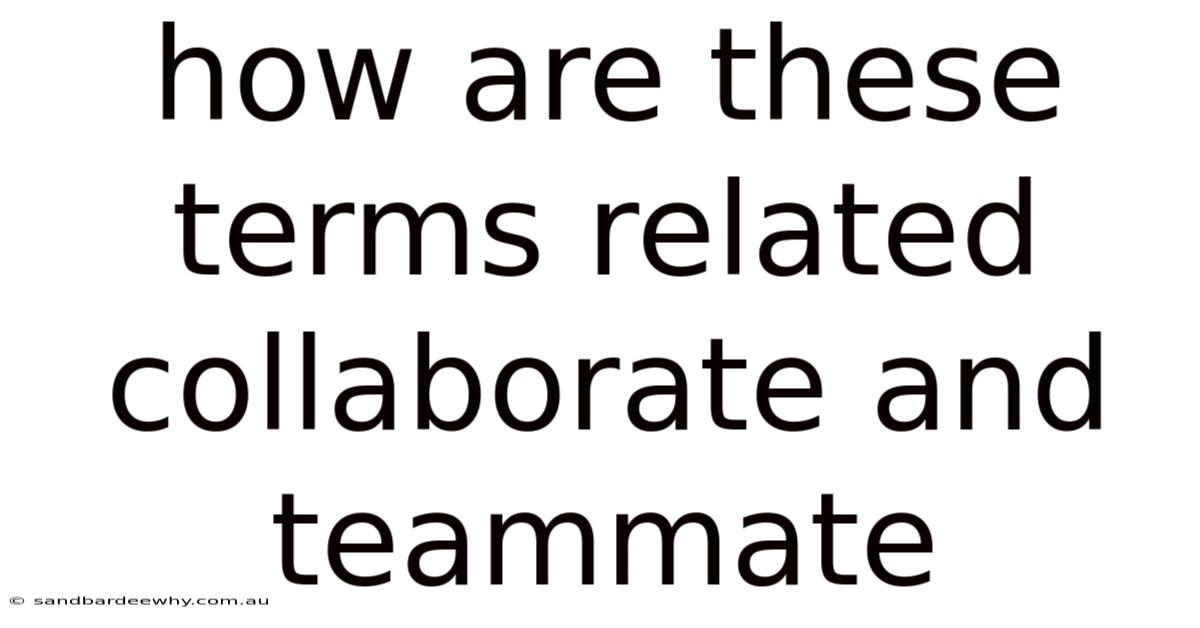 How Are These Terms Related Collaborate And Teammate