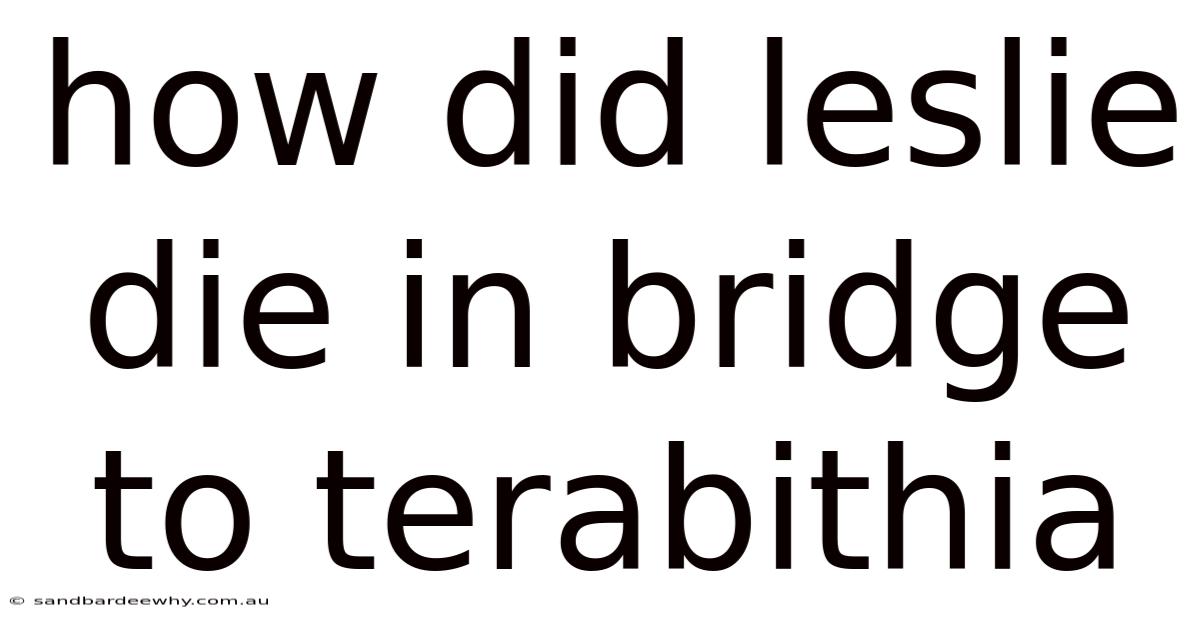 How Did Leslie Die In Bridge To Terabithia