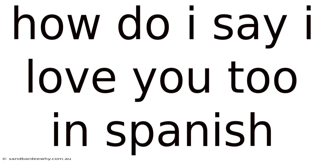How Do I Say I Love You Too In Spanish