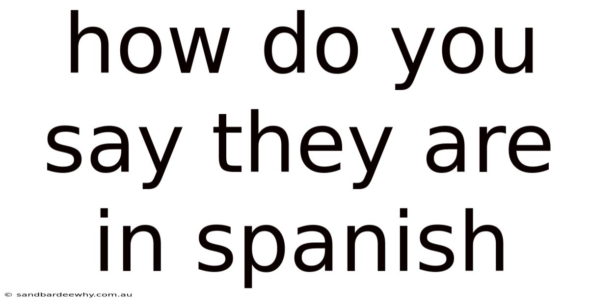 How Do You Say They Are In Spanish