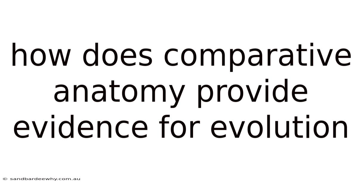 How Does Comparative Anatomy Provide Evidence For Evolution