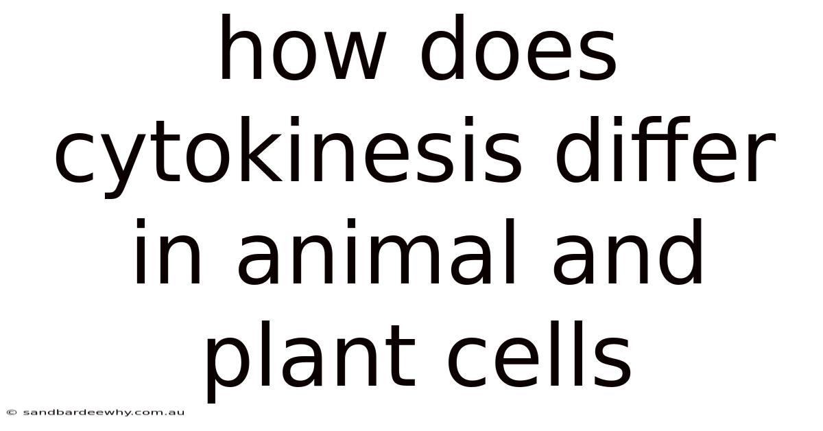 How Does Cytokinesis Differ In Animal And Plant Cells