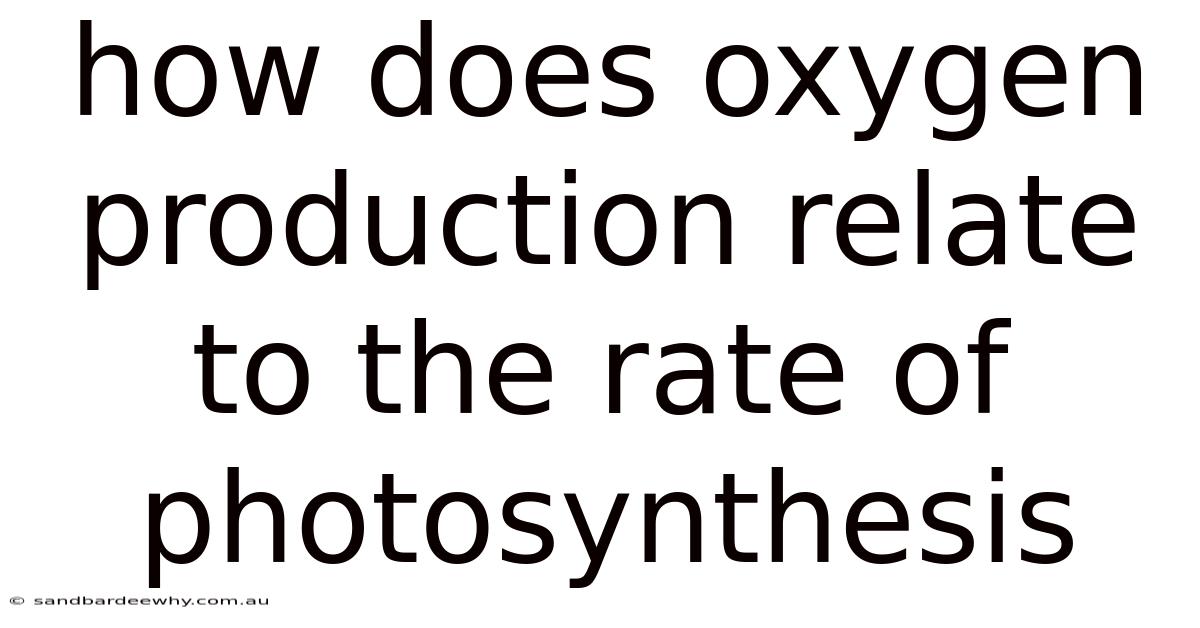 How Does Oxygen Production Relate To The Rate Of Photosynthesis
