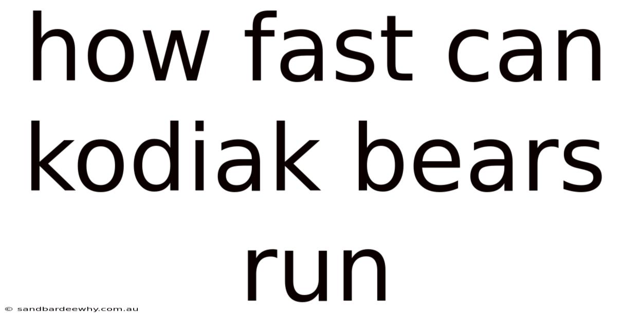 How Fast Can Kodiak Bears Run