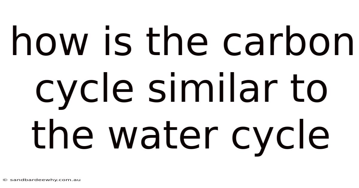 How Is The Carbon Cycle Similar To The Water Cycle