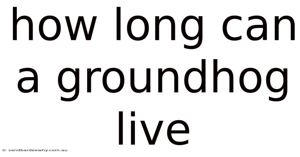 How Long Can A Groundhog Live