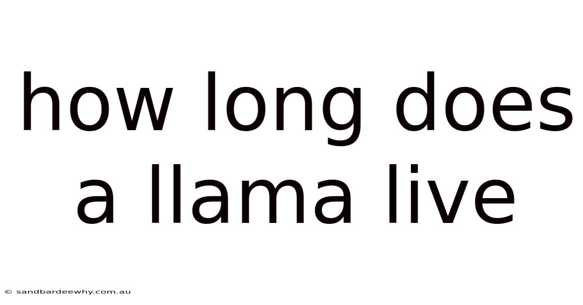 How Long Does A Llama Live