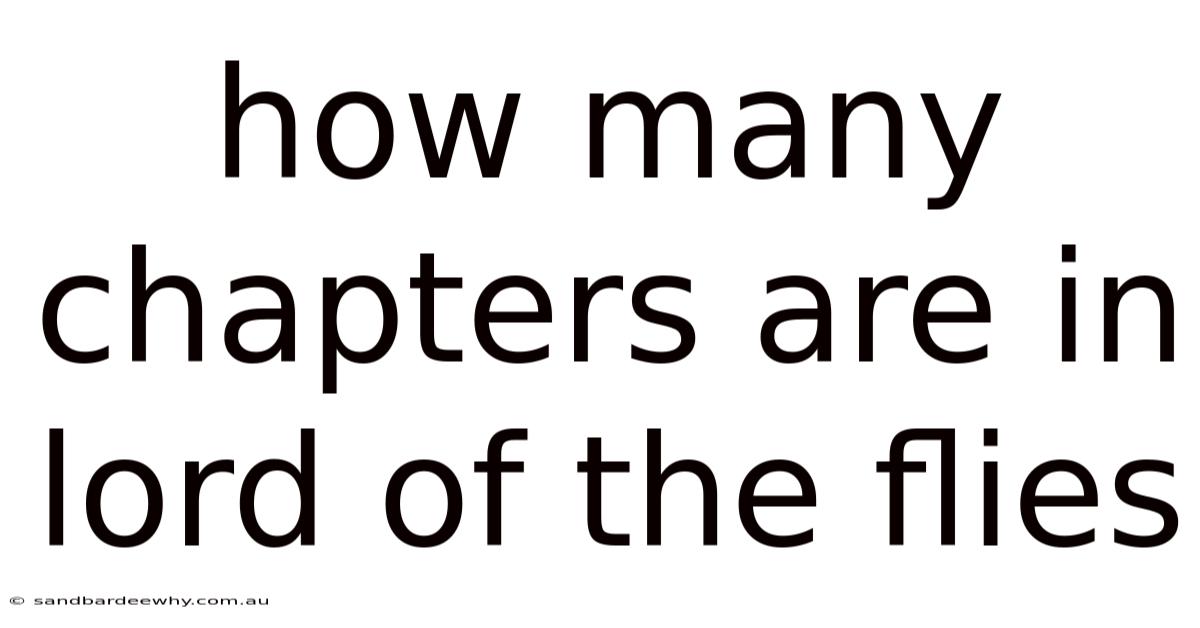How Many Chapters Are In Lord Of The Flies