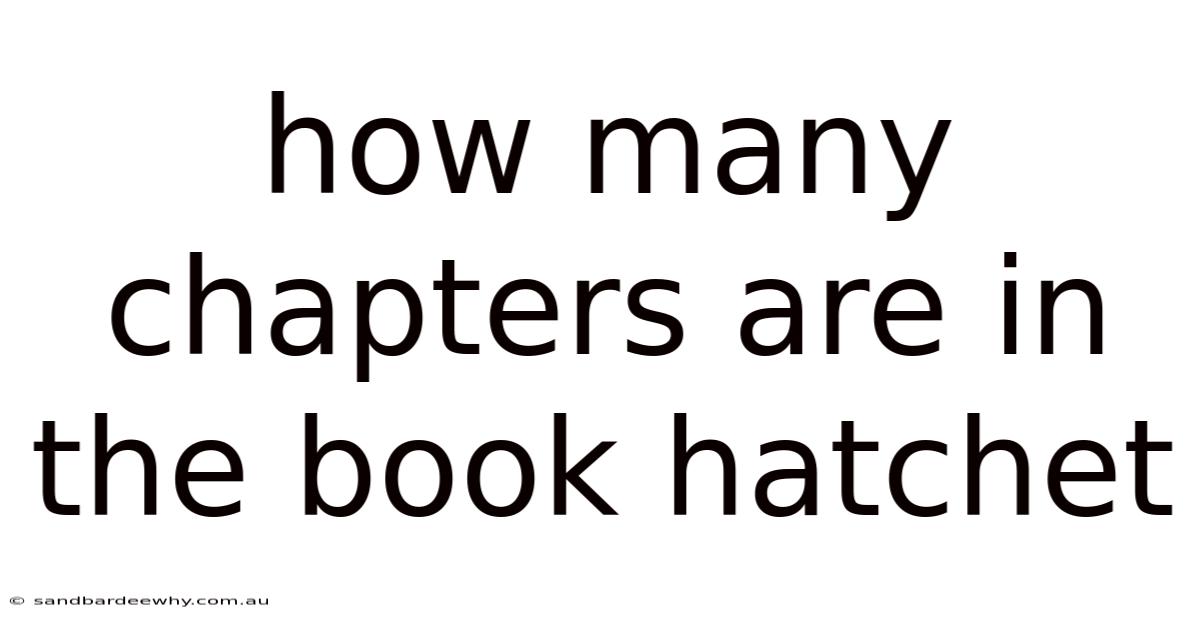 How Many Chapters Are In The Book Hatchet