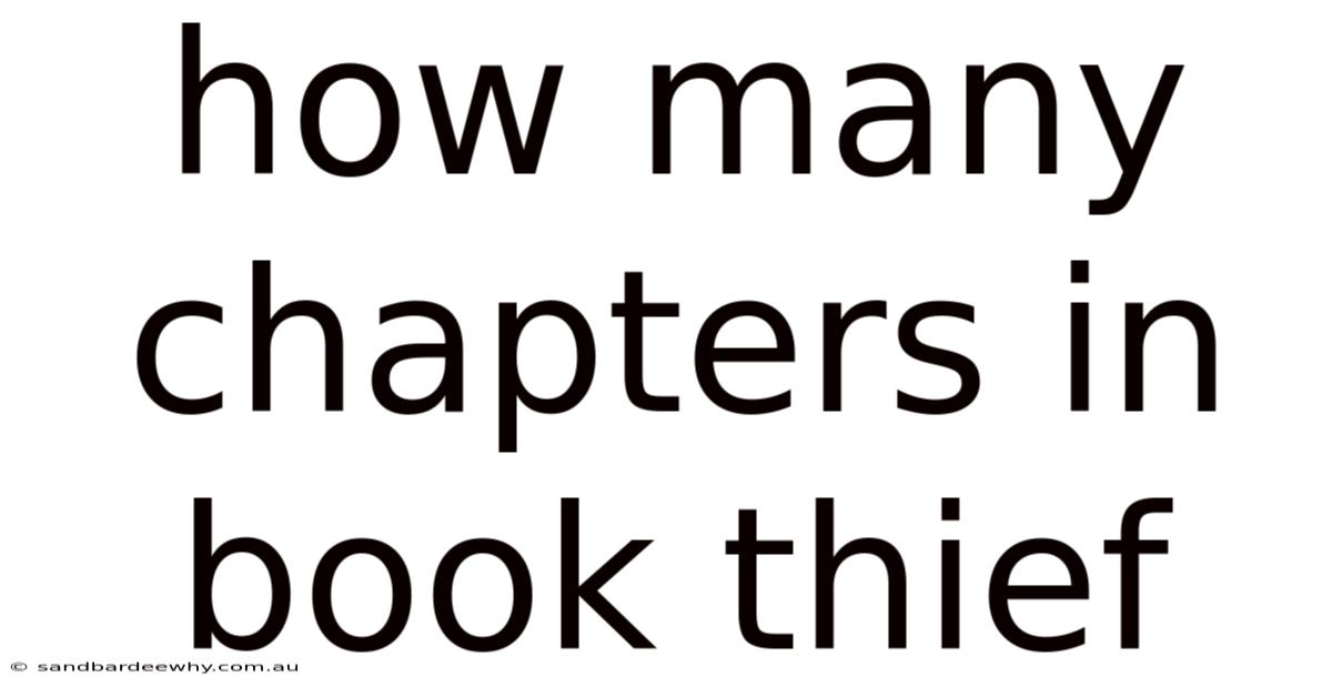 How Many Chapters In Book Thief
