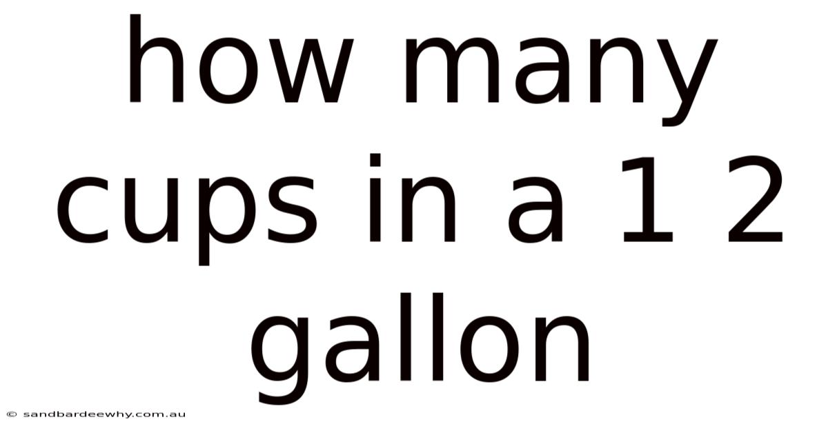 How Many Cups In A 1 2 Gallon