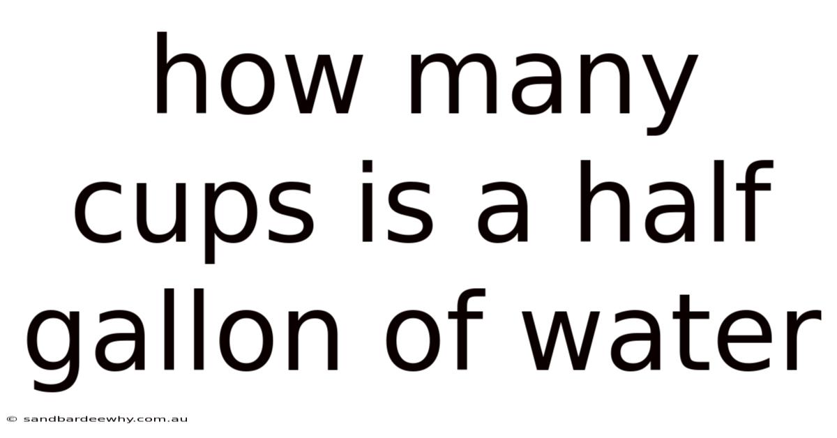 How Many Cups Is A Half Gallon Of Water