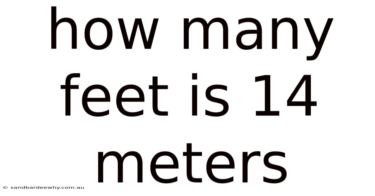 How Many Feet Is 14 Meters