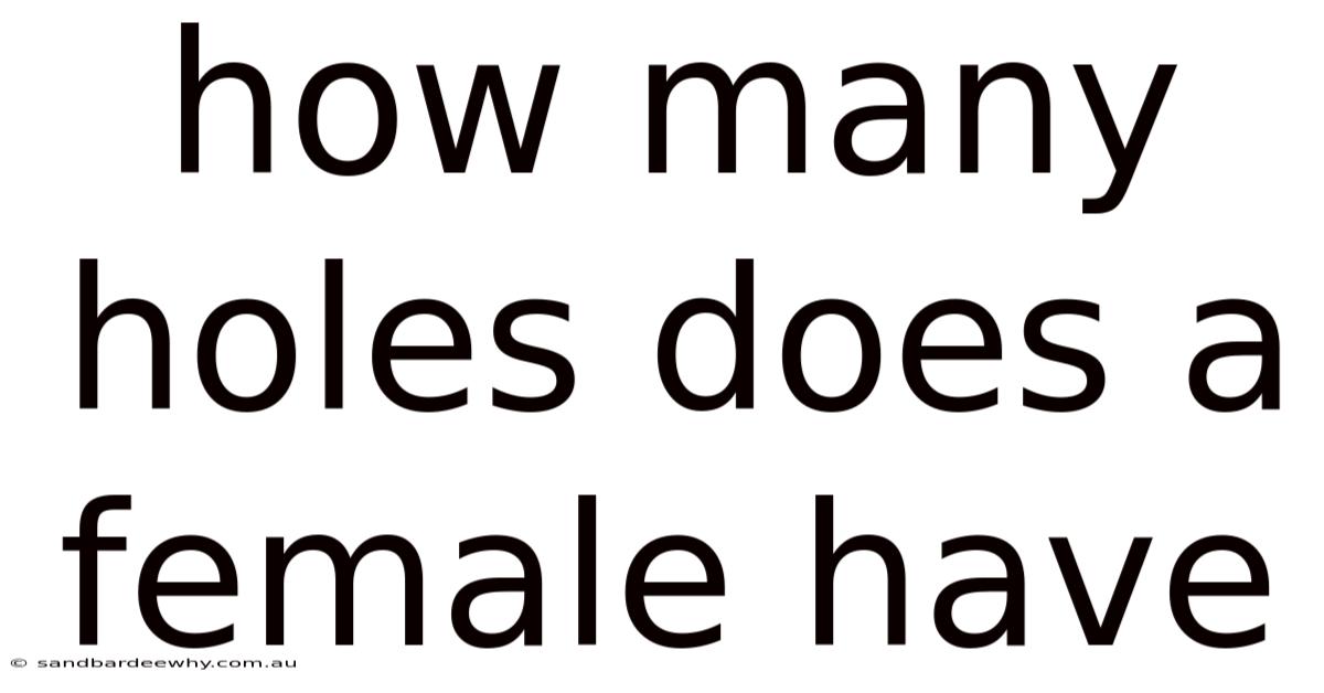 How Many Holes Does A Female Have