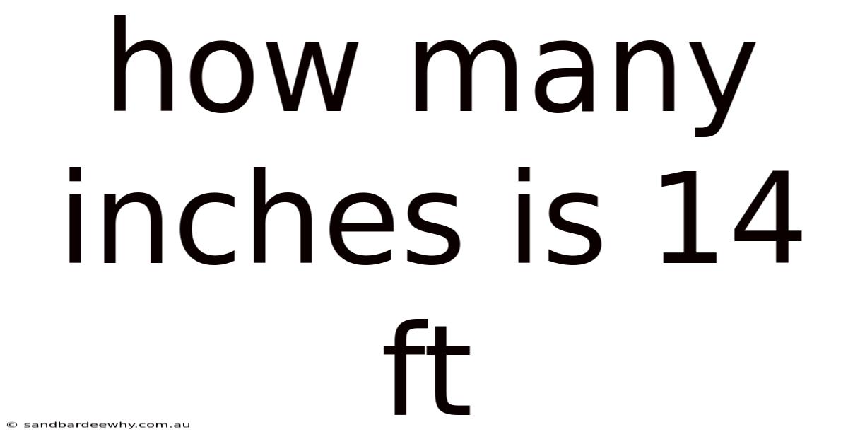 How Many Inches Is 14 Ft