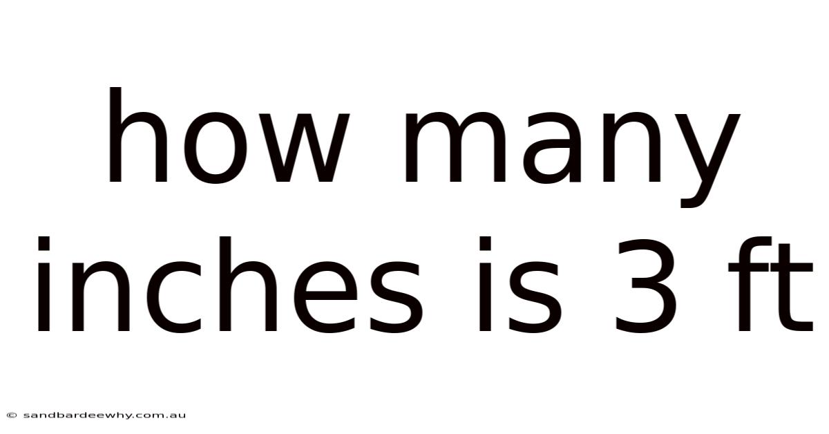 How Many Inches Is 3 Ft