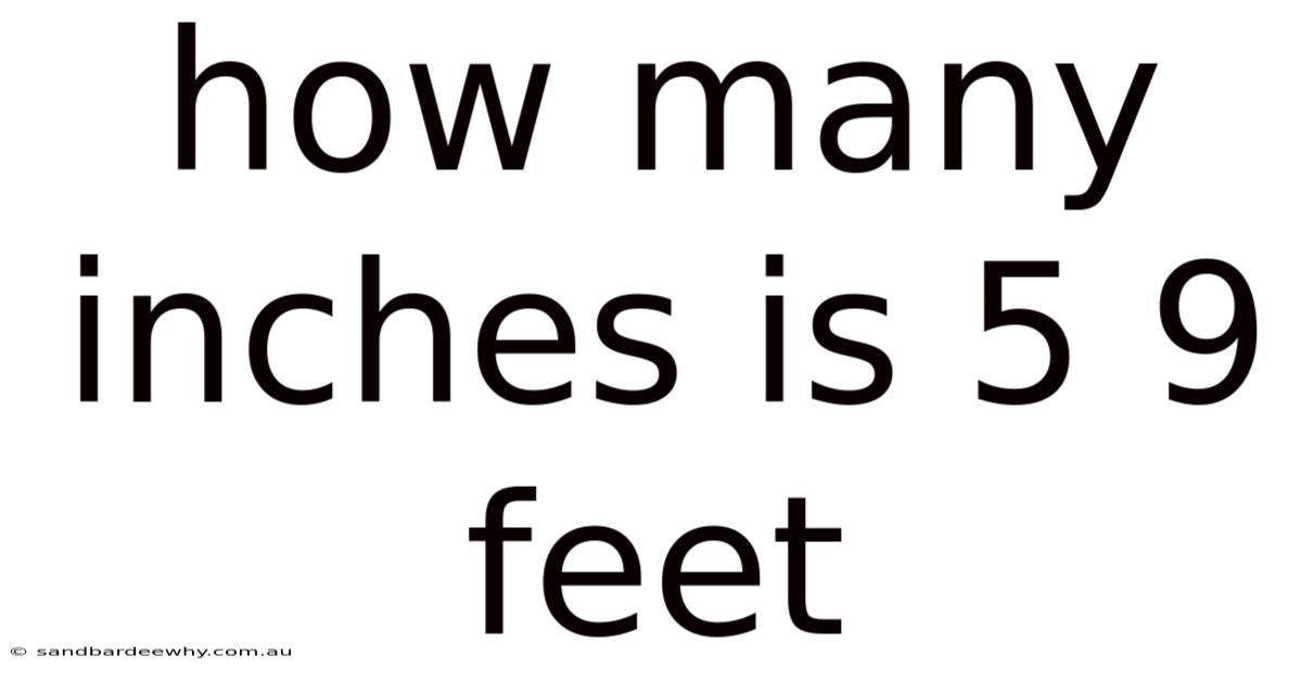 How Many Inches Is 5 9 Feet