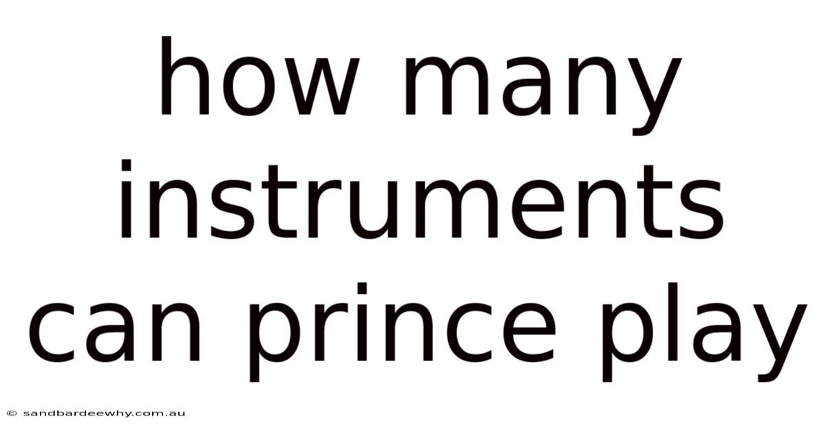 How Many Instruments Can Prince Play