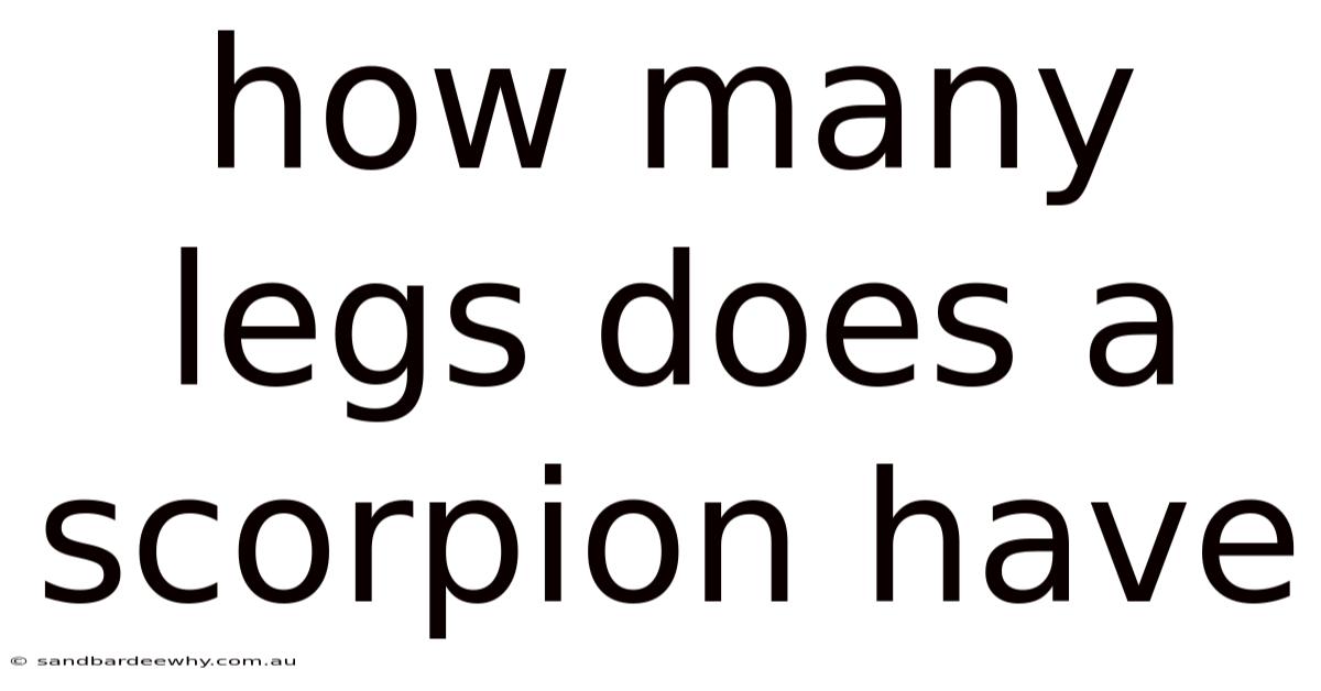 How Many Legs Does A Scorpion Have