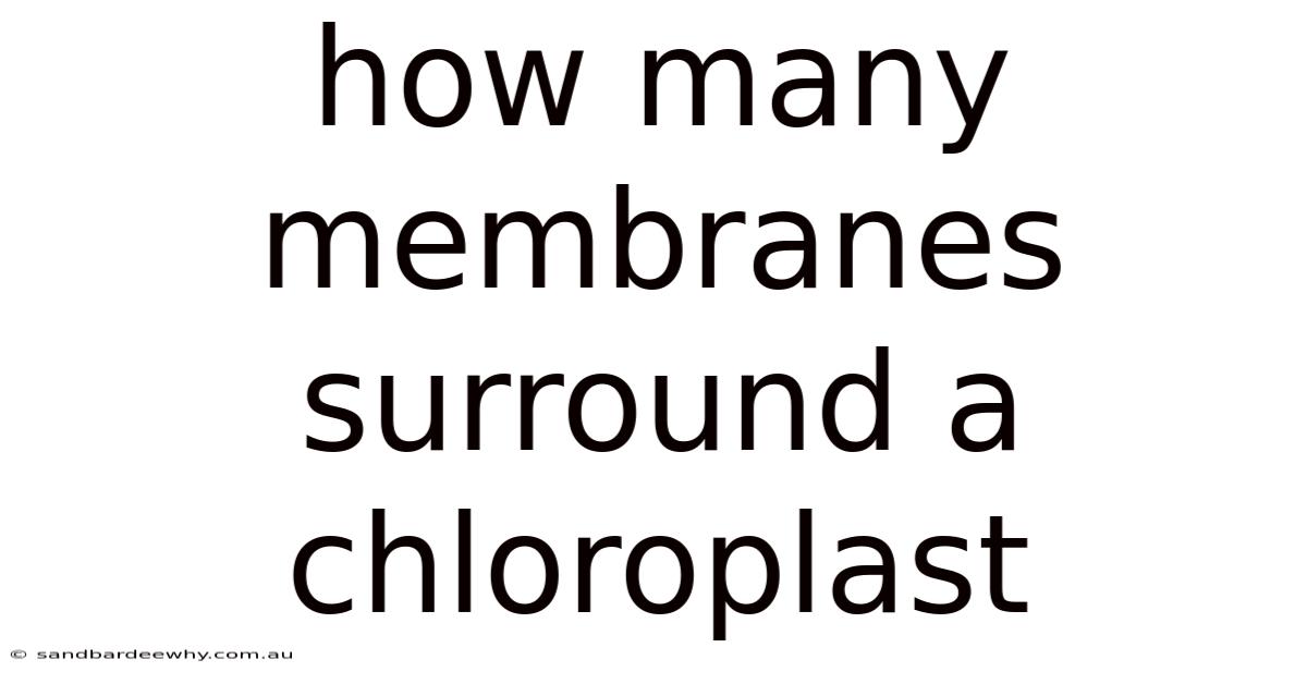 How Many Membranes Surround A Chloroplast