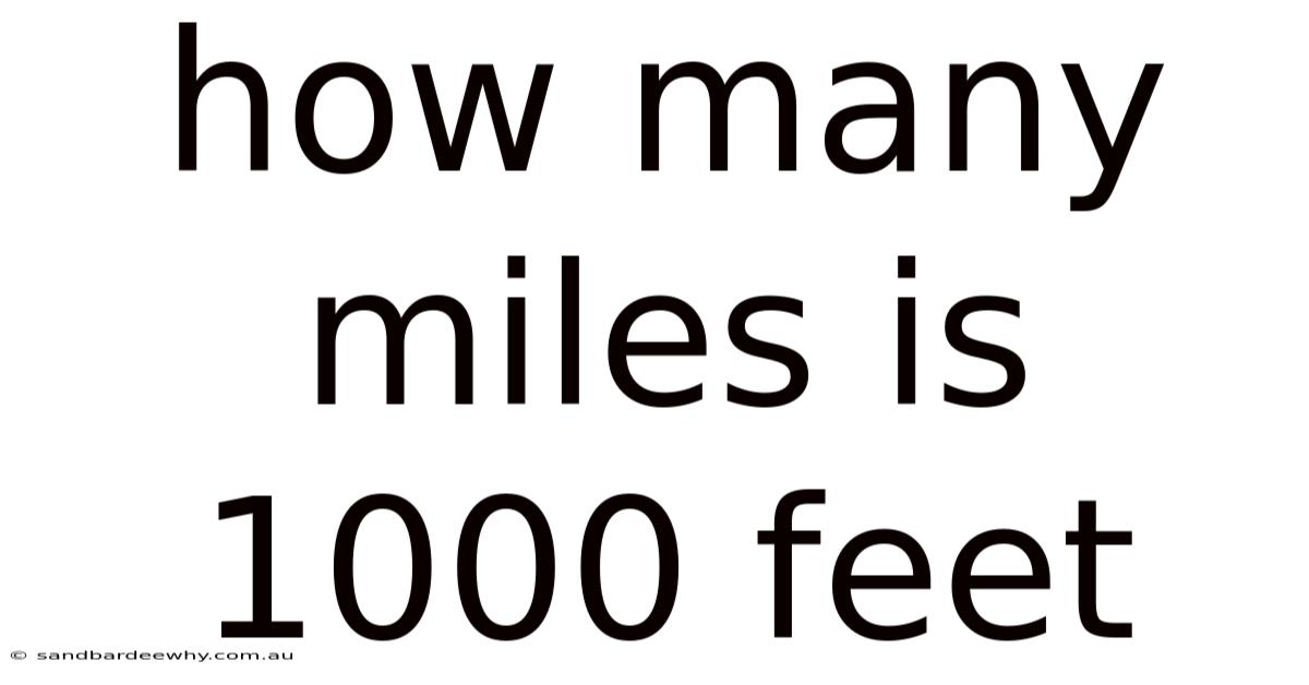 How Many Miles Is 1000 Feet