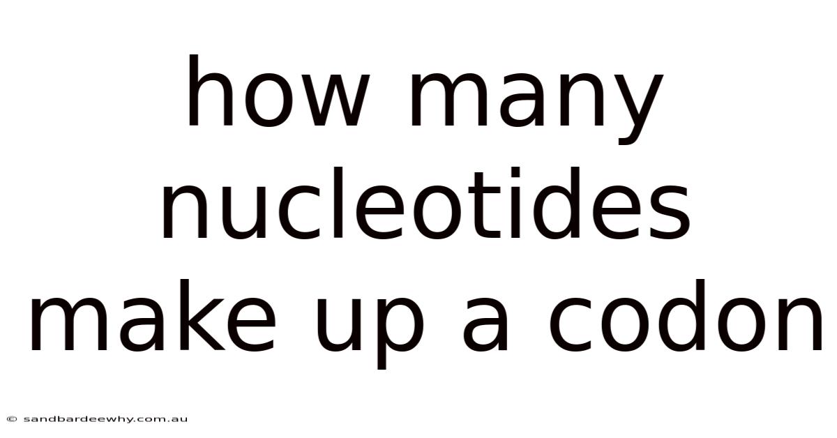 How Many Nucleotides Make Up A Codon