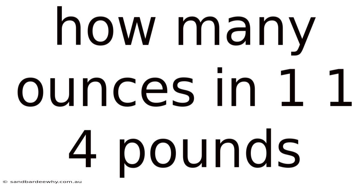 How Many Ounces In 1 1 4 Pounds