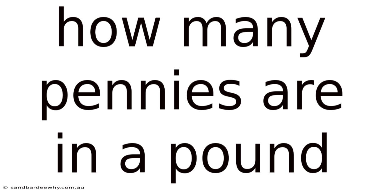 How Many Pennies Are In A Pound