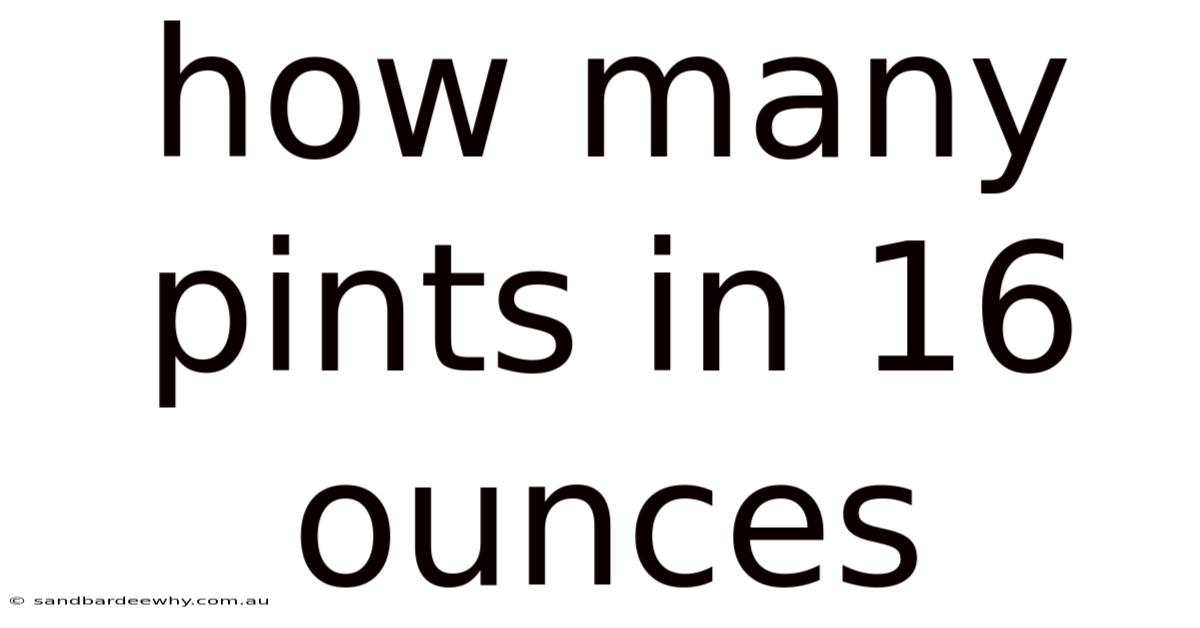 How Many Pints In 16 Ounces