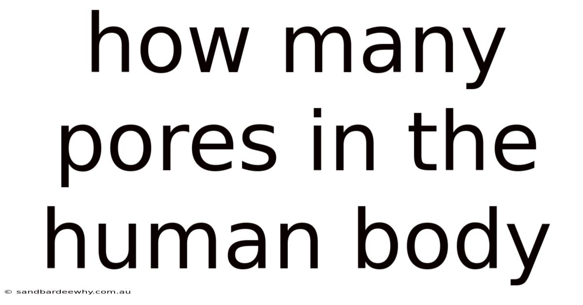 How Many Pores In The Human Body