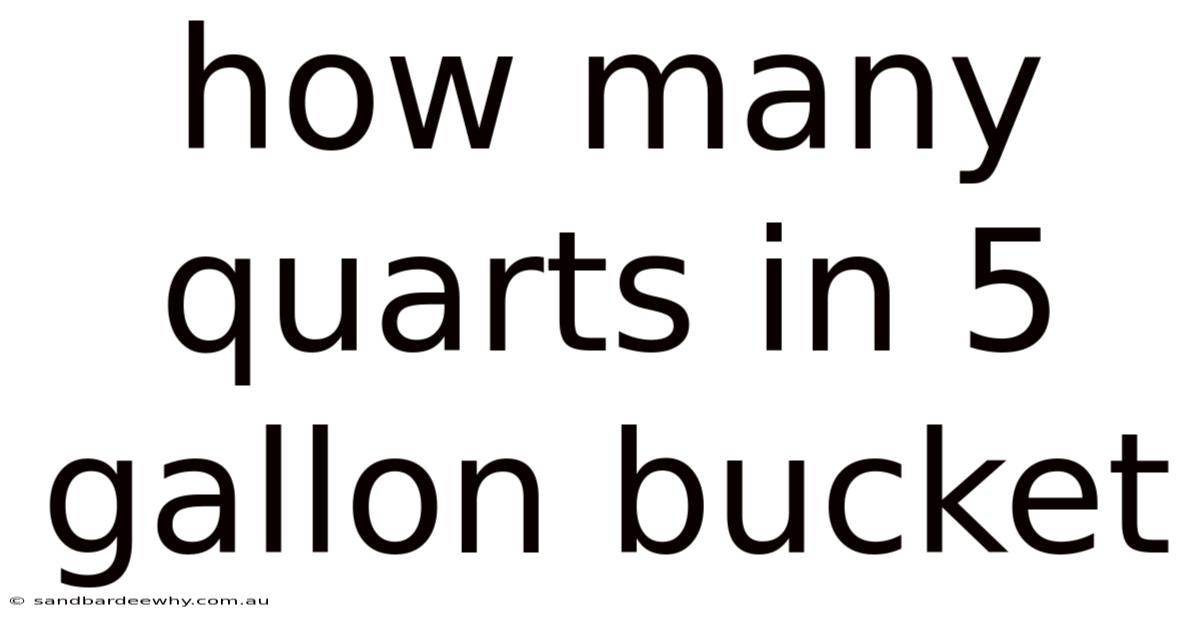 How Many Quarts In 5 Gallon Bucket