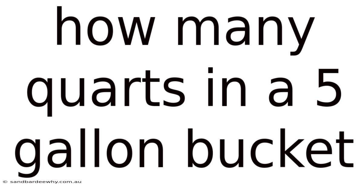 How Many Quarts In A 5 Gallon Bucket