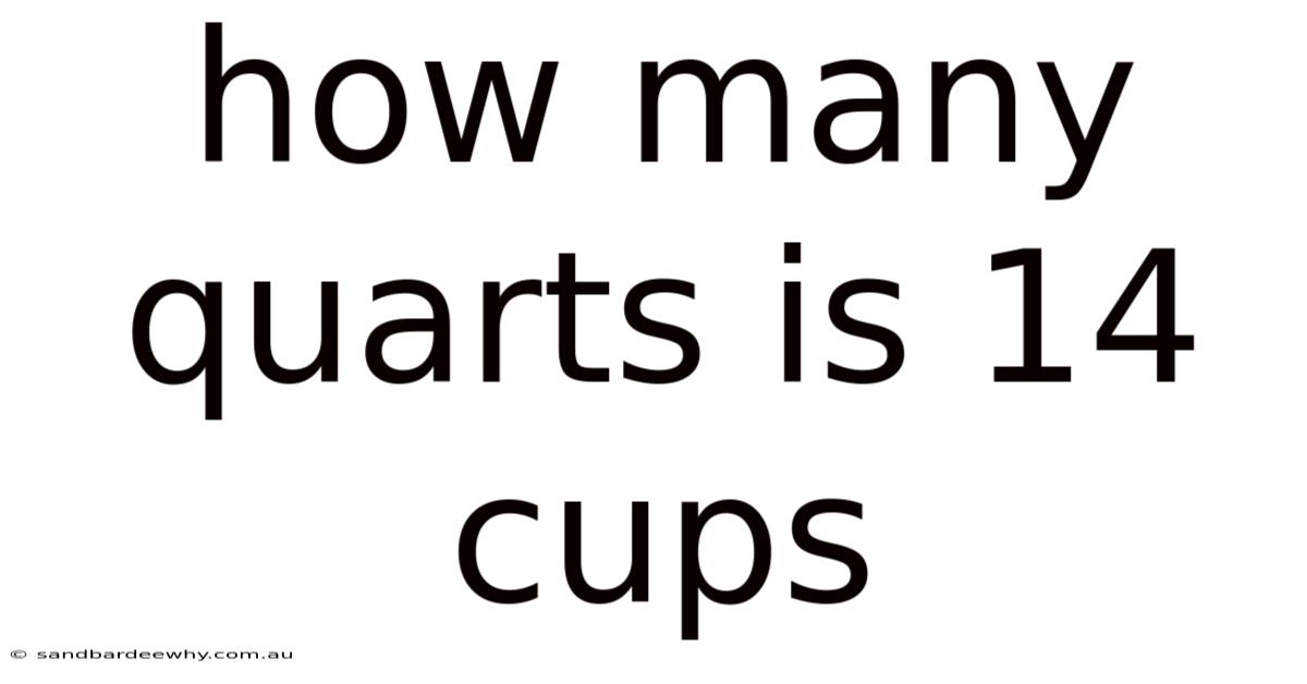 How Many Quarts Is 14 Cups