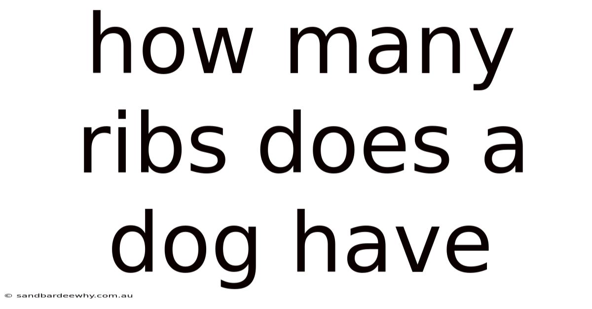 How Many Ribs Does A Dog Have