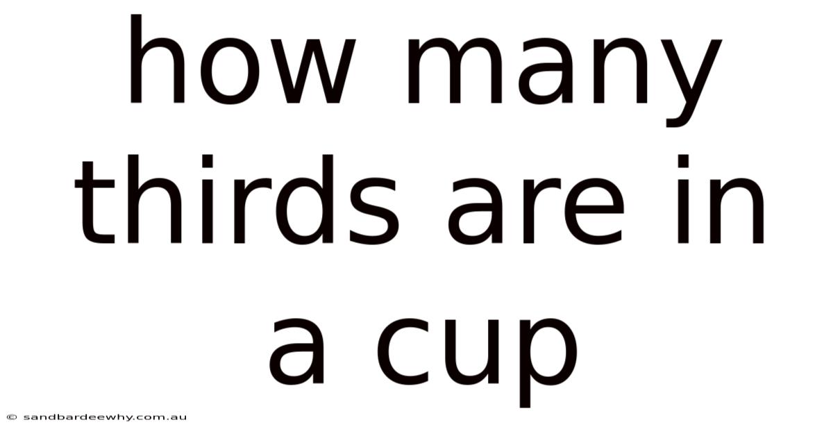 How Many Thirds Are In A Cup