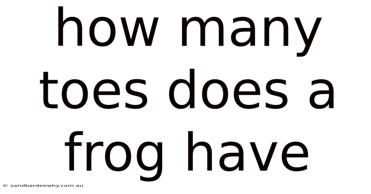 How Many Toes Does A Frog Have