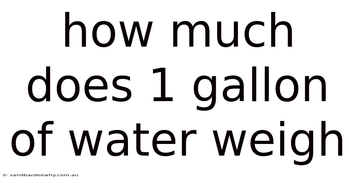 How Much Does 1 Gallon Of Water Weigh