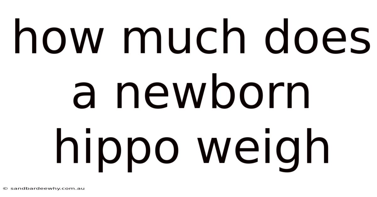 How Much Does A Newborn Hippo Weigh