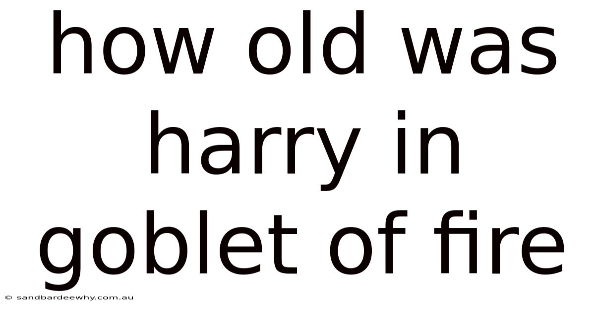 How Old Was Harry In Goblet Of Fire