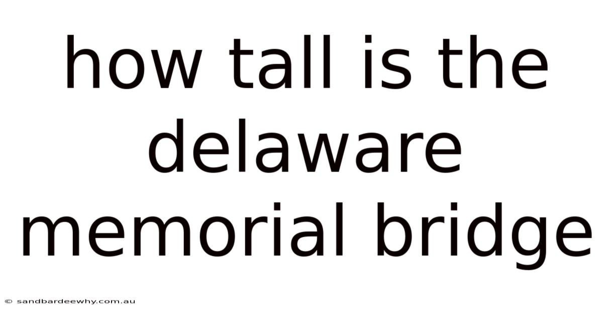 How Tall Is The Delaware Memorial Bridge