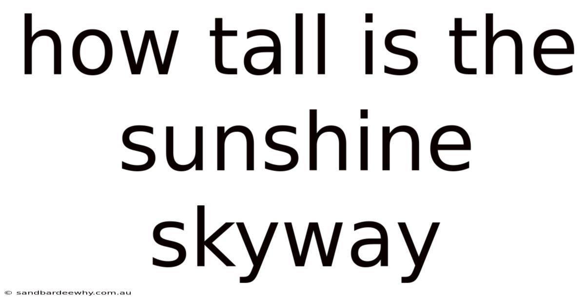 How Tall Is The Sunshine Skyway